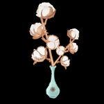  棉花