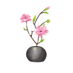  玉兰花