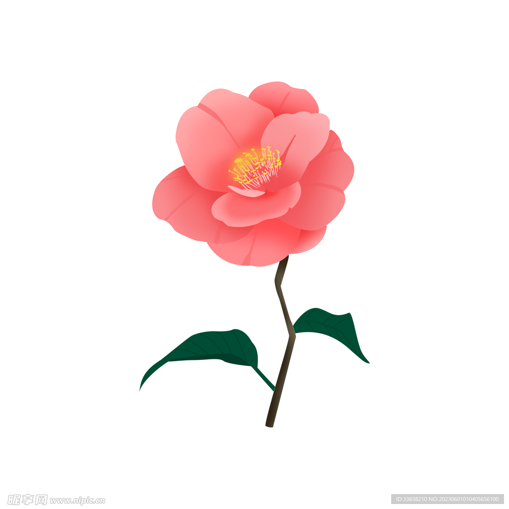 绿植