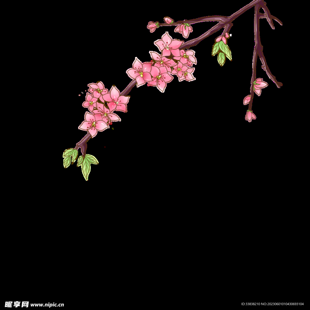 花卉