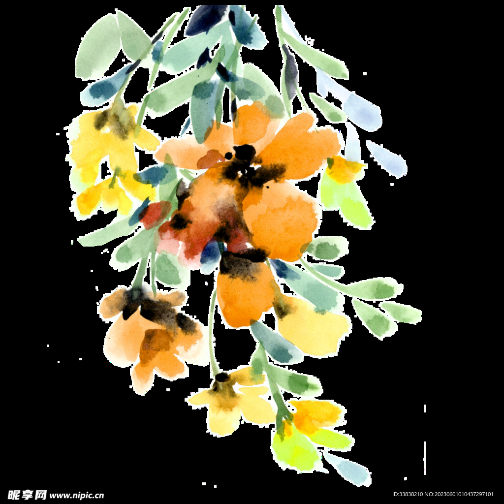  花卉