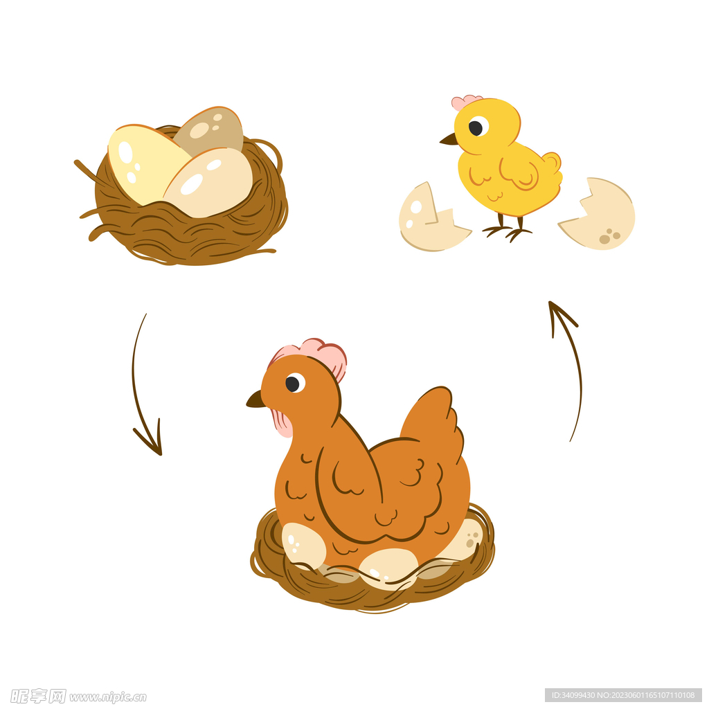 新年卡通矢量可爱母鸡下蛋图片素材免费下载 - 觅知网