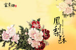 牡丹花