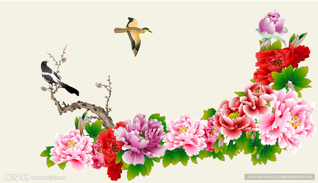 牡丹花