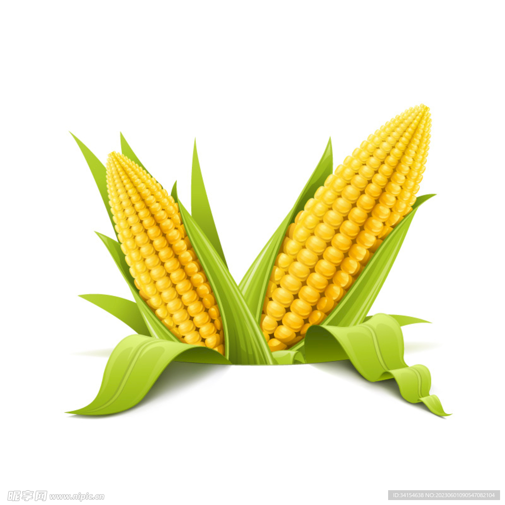 玉米