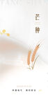 中国传统24节气芒种海报
