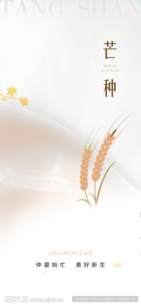 中国传统24节气芒种海报