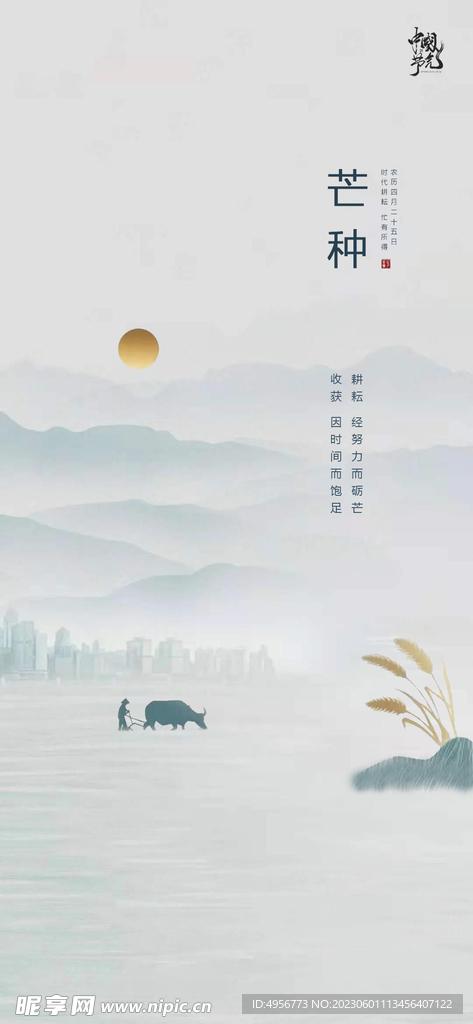 中国传统24节气芒种海报