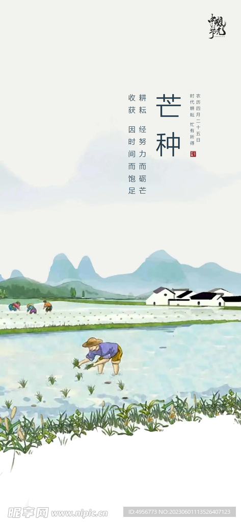 中国传统24节气芒种海报