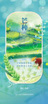 中国传统24节气芒种海报
