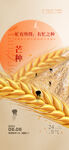 中国传统24节气芒种海报