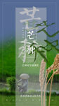 中国传统24节气芒种海报