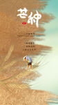 中国传统24节气芒种海报