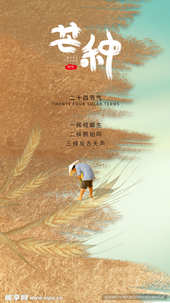 中国传统24节气芒种海报