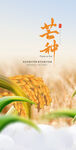 中国传统24节气芒种海报