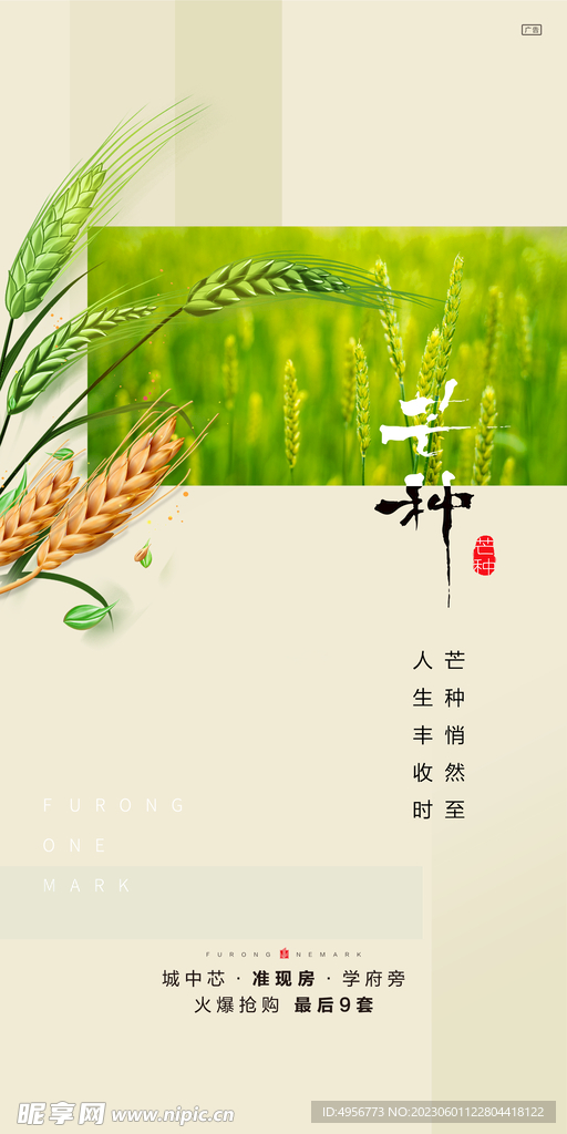 中国传统24节气芒种海报