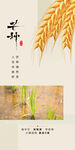 中国传统24节气芒种海报