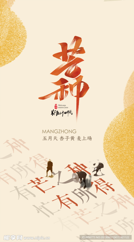 中国传统24节气芒种海报