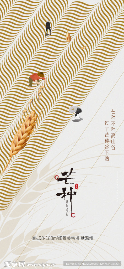 中国传统24节气芒种海报