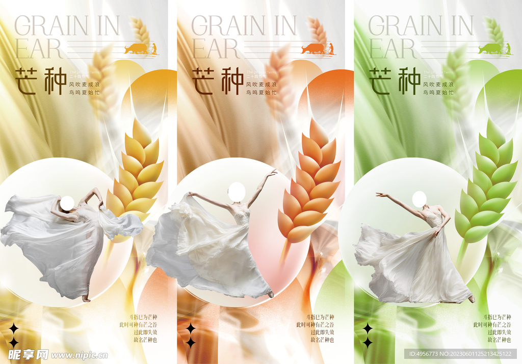 中国传统24节气芒种海报
