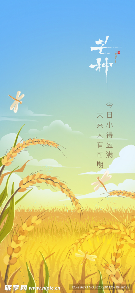 中国传统24节气芒种海报