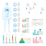 医学人体信息图