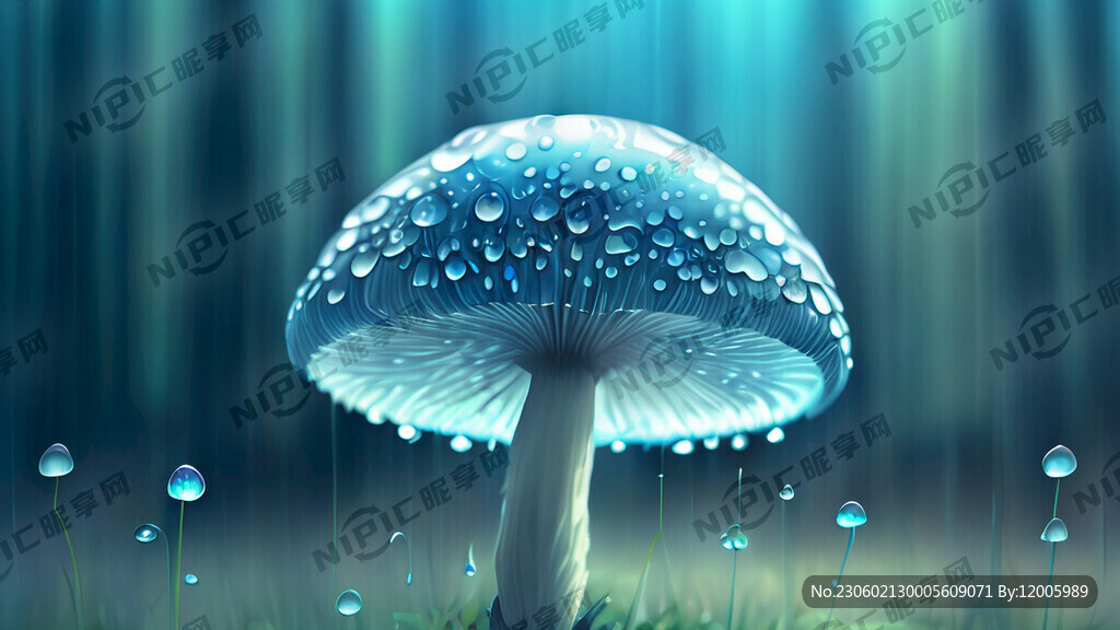 蘑菇 小草 雨滴 森林 梦幻
