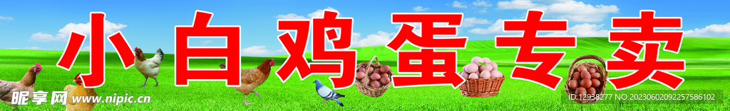鸡蛋专卖