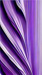 紫色元素淡淡的线条底纹的图片