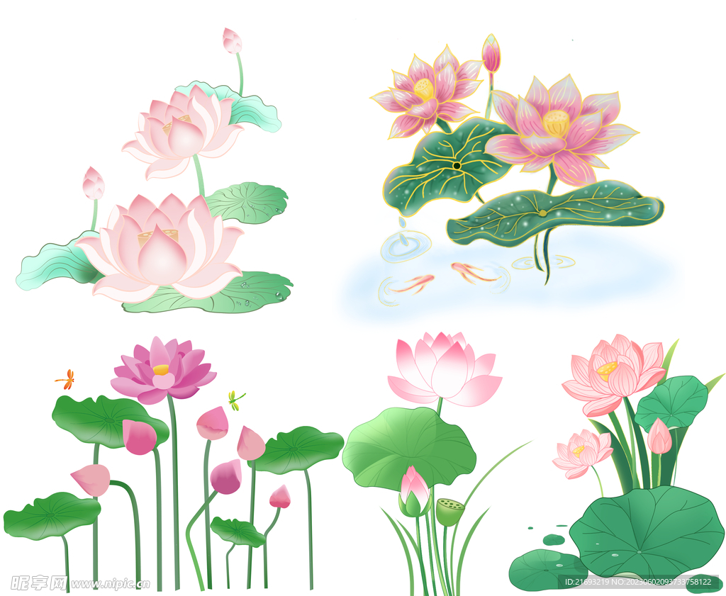 荷花国画荷花