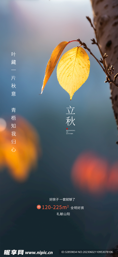 立秋海报