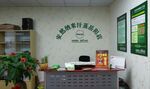 安然纳米汗蒸 背景墙