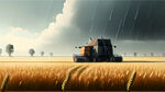 下雨天忙碌收麦子的田野里