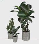 盆栽植物模型