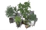盆栽植物模型