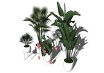 盆栽植物模型