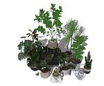 植物环艺模型