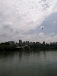 湖畔飞鸟