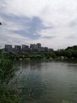 湖畔