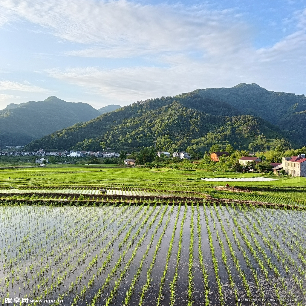 青山绿水