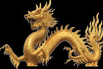 中国龙免扣