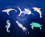 海洋生物手绘插画