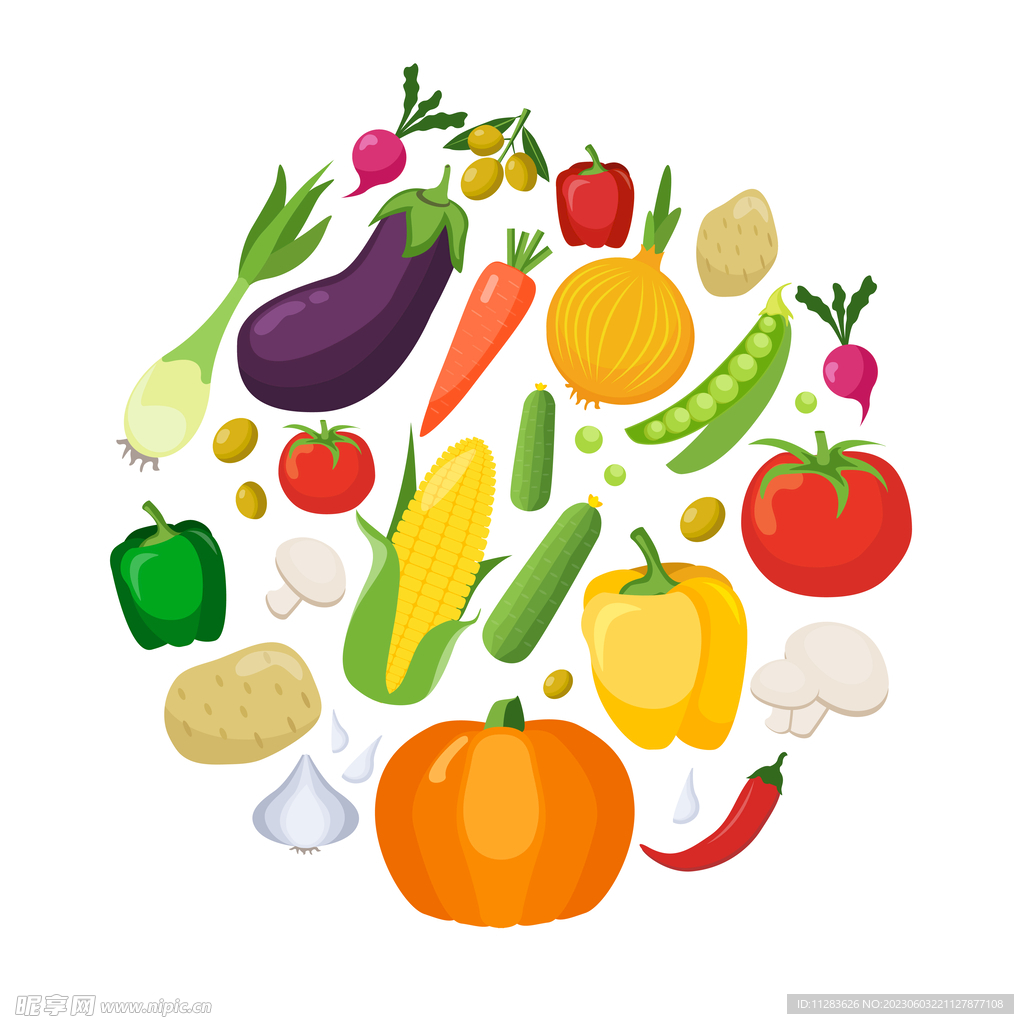 蔬菜矢量插画