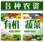 有机蔬菜