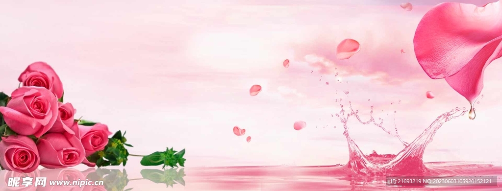 玫瑰花展板