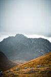 山