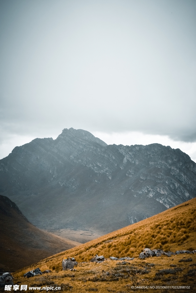 山