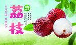 荔枝广告
