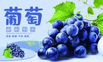 葡萄广告