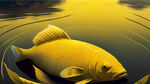 侧逆光的黄河大鲤鱼，背景是黄河，前面放餐具